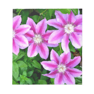 Elegant pinkfarben grün, botanisch notizblock