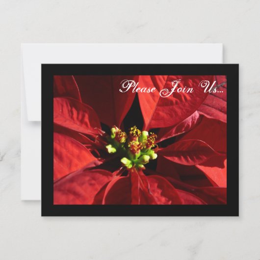 Elegant Poinsettia Weihnachten Einladungen (Vorderseite)