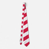 Elegant Polish Flag Neck Tie, Eagle / Polen Krawatte (Rückseite)