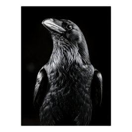 Elegant Raven Minimalist Black and White Portrait Poster