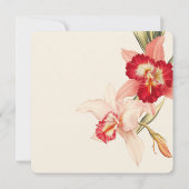 Elegant Red Cattleya Orchids Wedding speichern das Save The Date (Rückseite)