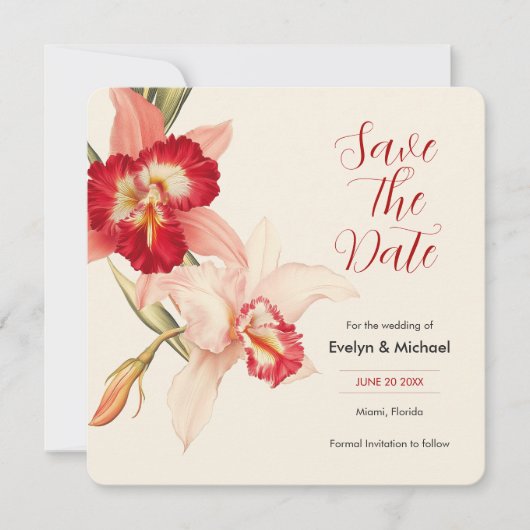 Elegant Red Cattleya Orchids Wedding speichern das Save The Date (Vorderseite)