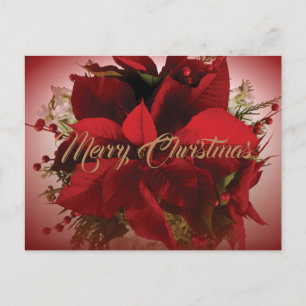Elegant Red Christmas Poinsettia Postkarte