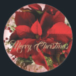 Elegant Red Christmas Poinsettia Runder Aufkleber<br><div class="desc">Brighten Sie Ihren Umschlag mit diesem wunderschönen "One of a Kind" Weihnachtsaufkleber auf! Es verfügt über eine elegante rote Poinsettia! Original Art Design von Künstler Kerry Miller.</div>