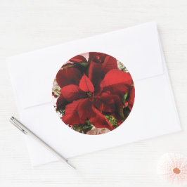 Elegant Red Christmas Poinsettia Runder Aufkleber