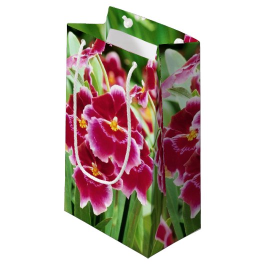 Elegant Red Orchid Kleine Geschenktüte (Vorderseite Schrägansicht)