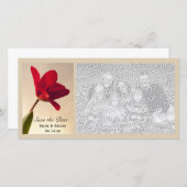 Elegant Red Tulip Wedding Save the Date (Vorne/Hinten)
