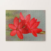 Elegant River Lily / Crimson Flag Rote Blume Puzzle (Horizontal)