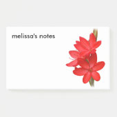 Elegant River Lily / Hesperantha Coccinea Post-it Klebezettel (Vorderseite)