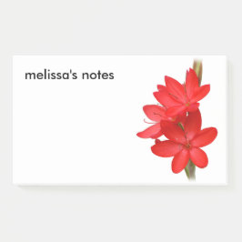 Elegant River Lily / Hesperantha Coccinea Post-it Klebezettel