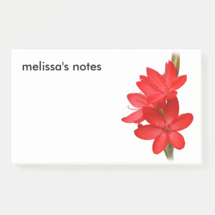 Elegant River Lily / Hesperantha Coccinea Post-it Klebezettel