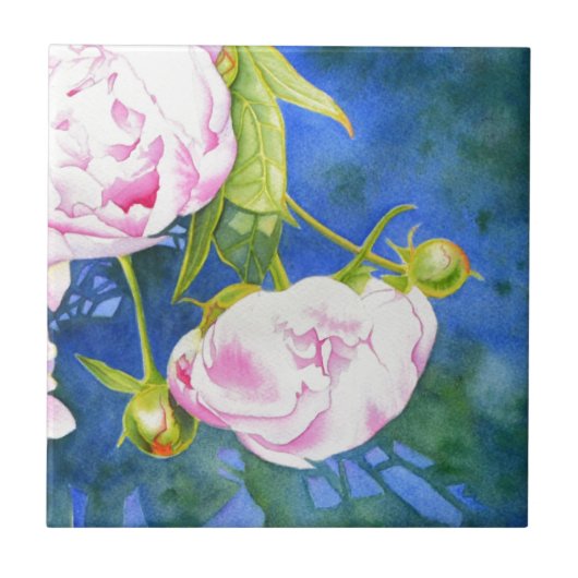 Elegant rosa, klassische Aquarellblüte Fliese (Vorderseite)