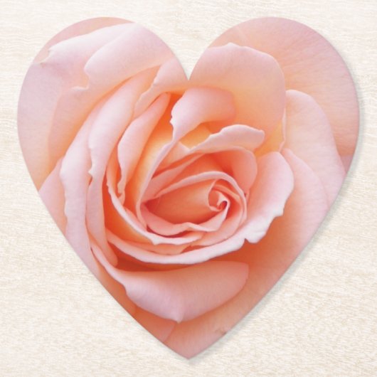 Elegant Rosa Rose Bloral Untersetzer (Vorderseite)