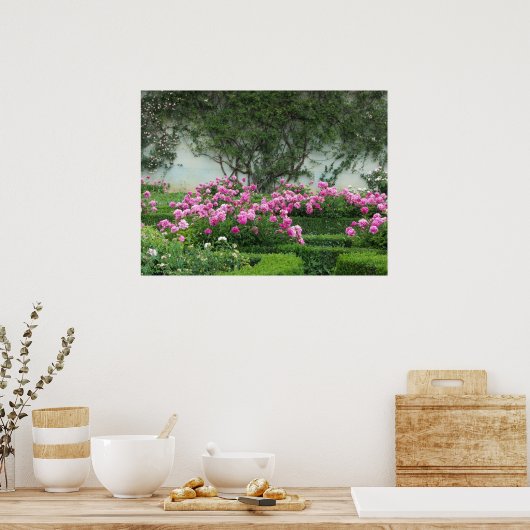 Elegant Rosa Roses Poster (Küche)