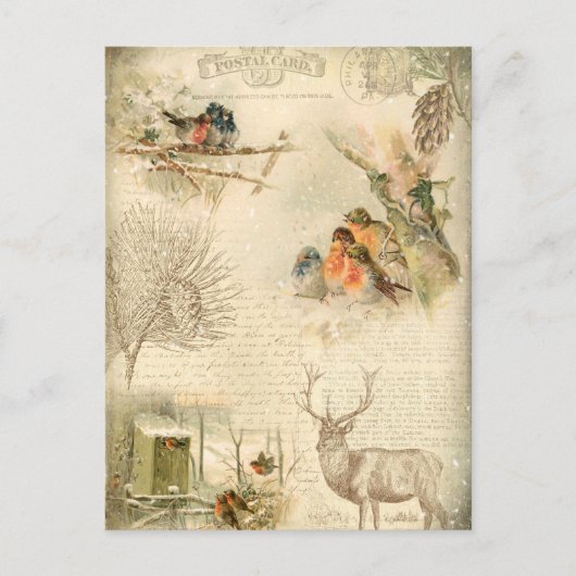 Elegant Rustic Vintage Weihnachtswald Collage Feiertagspostkarte (Vorderseite)