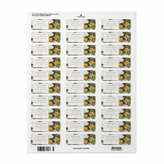 Elegant rustikal Gelb-Daffodil-Blüte (Vorne)