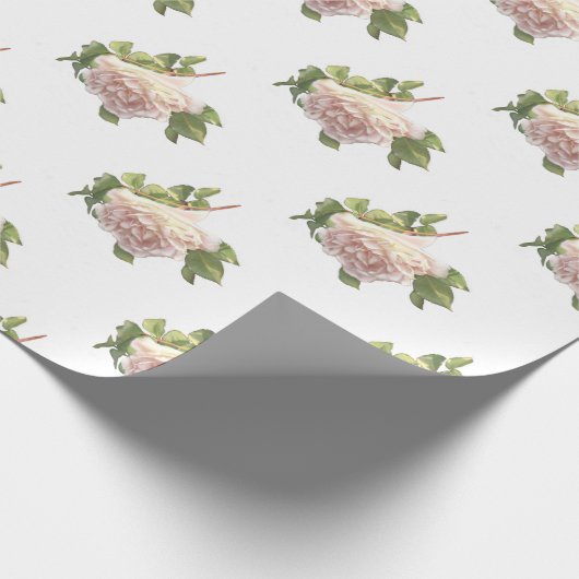 Elegant schöne, rot-weiße Elfenbeinrosen Geschenkpapier (Ecke)