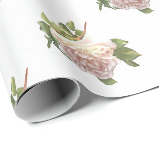 Elegant schöne, rot-weiße Elfenbeinrosen Geschenkpapier (Rolleneckpunkt)