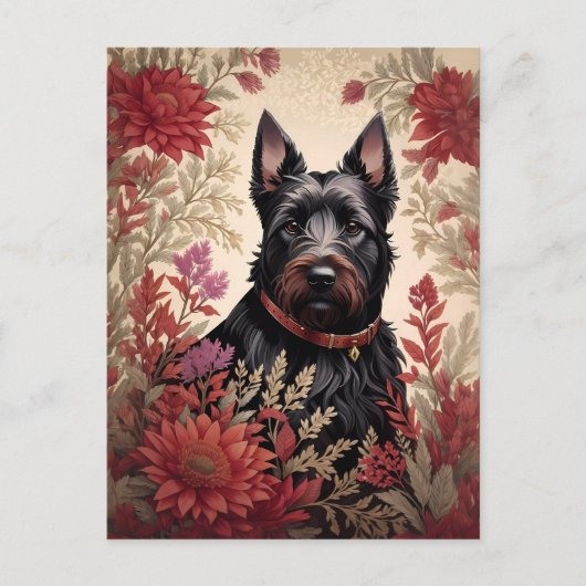 Elegant Scottish Terrier Dog Portrait Postkarte (Vorderseite)