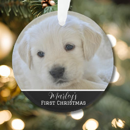 Elegant Scripted Pet's First Christmas Ornament