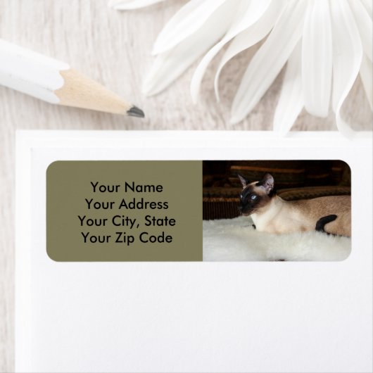 Elegant Siamese Cat (Insitu)