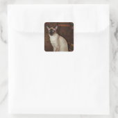 Elegant Siamese Cat Quadratischer Aufkleber (Tasche)