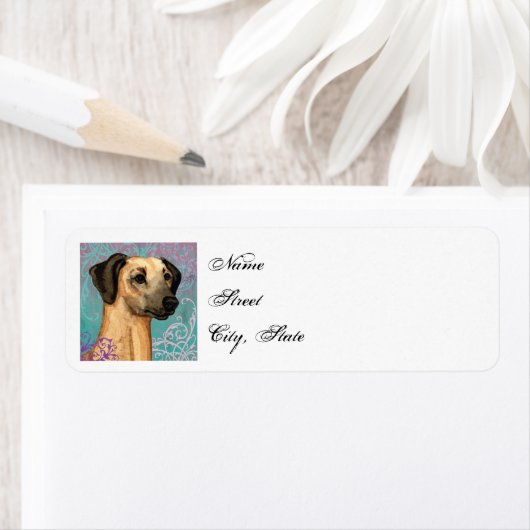 Elegant Sloughi (Insitu)