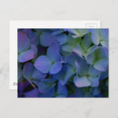 Elegant staubblau lila blumenreich postkarte (Vorne/Hinten)