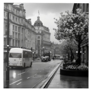 Elegant Street View Fliese