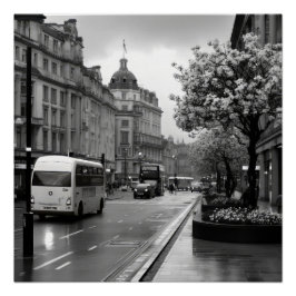 Elegant Street View Poster