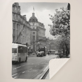 Elegant Street View Sherpadecke