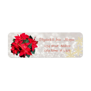 Elegant, Stylisch, Bokeh, Weihnachts-Poinsettie