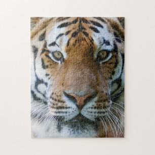 Elegant Tiger Portrait Puzzle
