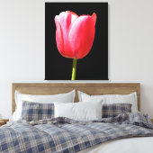 Elegant Tulip Bloom Leinwanddruck (Insitu (Schlafzimmer))
