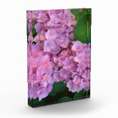 Elegant und Rustikal Hortensia Hydrangea macrophyl Fotoblock (Links)