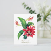 Elegant Vintage Botanical Christmas Cactus Flower Postkarte (Stehend Vorderseite)