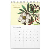 Elegant Vintage Botanical Flower Illustrations  Kalender (Feb 2026)