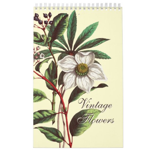 Elegant Vintage Botanical Flower Illustrations  Kalender (Titelbild)