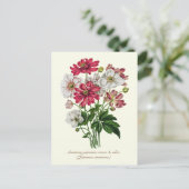 Elegant Vintage Botanical Japanese Anemone Postkarte (Stehend Vorderseite)