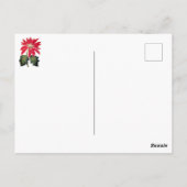 Elegant Vintage Botanical Poinsettia Flower Postkarte (Rückseite)