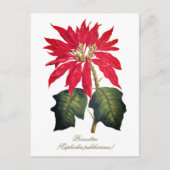 Elegant Vintage Botanical Poinsettia Flower Postkarte (Vorderseite)