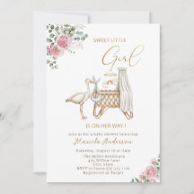 Elegant Watercolor Stork Baby Girl Baby Shower