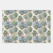 Elegant Watercolor Succulent & Cactus Plant Geschenkpapier Set (Vorderseite)