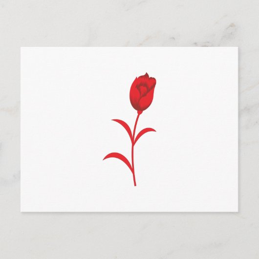 Elegant Wedding Essentials | Sommer und Jahr Postkarte (Vorderseite)