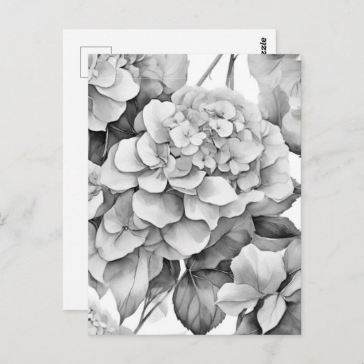 Elegant, weiß, grau, schwarz, blumenfarben postkarte (Vorne/Hinten)