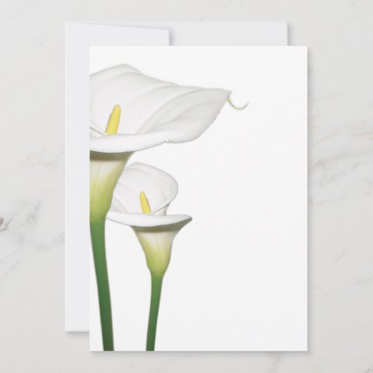 Elegant White Calla Lilies Wedding Save the Date (Rückseite)