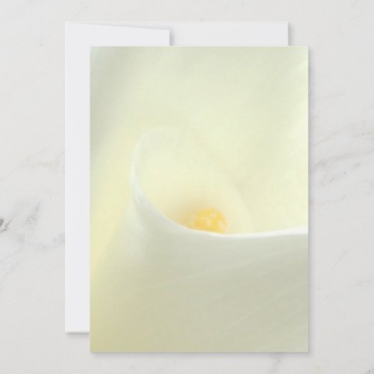 Elegant White Calla Lily Einladung Hochzeit (Rückseite)