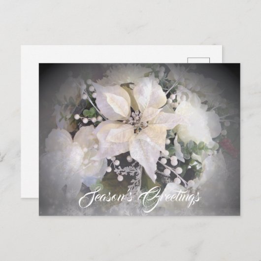 Elegant White Christmas Poinsettia Postkarte (Vorne/Hinten)