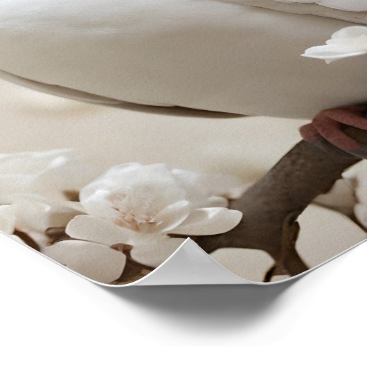 Elegant White Dove Poster (Ecke)