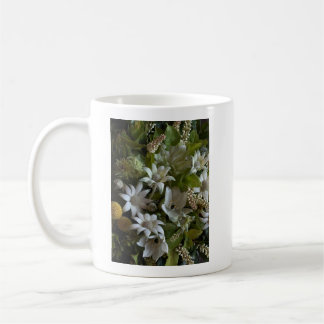 Elegant White Flannel Flower Minimalist Botanical Kaffeetasse